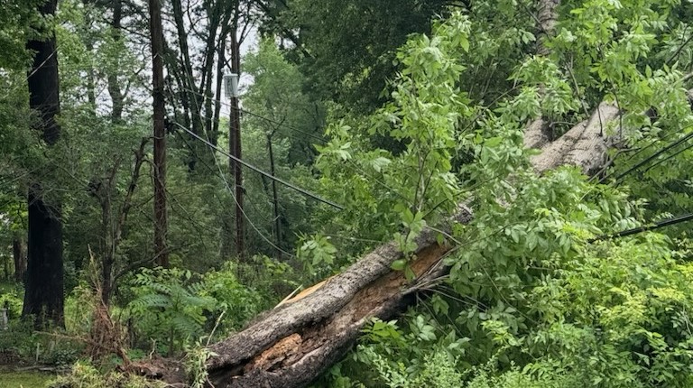 Entergy Arkansas Storm Update – 5/8/24, 11 A.m.